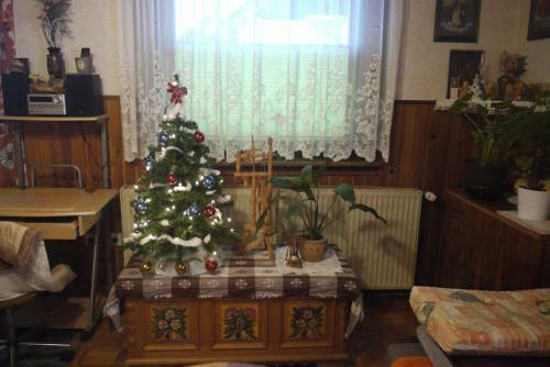 Hostal Apartments - Glamping Encijan
