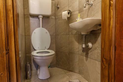 Hostal Apartments - Glamping Encijan