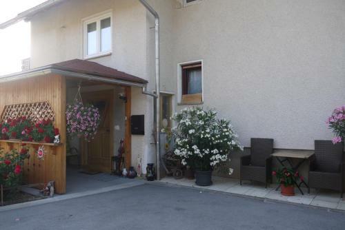 Hostal Apartments - Glamping Encijan