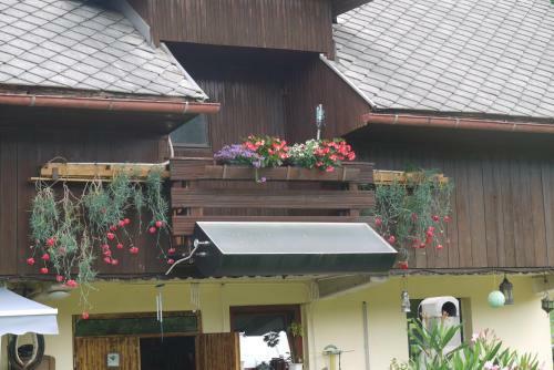 Hostal Apartments - Glamping Encijan