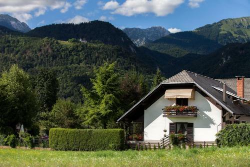 Apartments Ladka