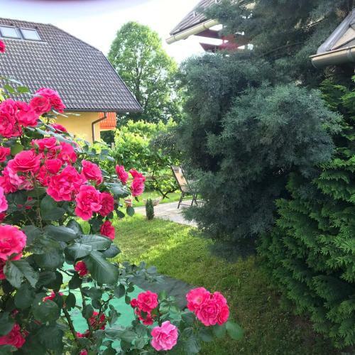 Apartma Peter1a