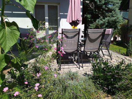 Apartma Peter1a