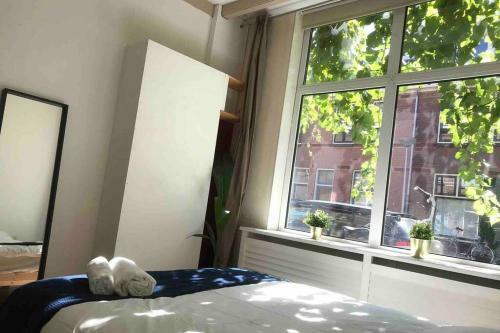 Cozy Apartment Private Bathroom