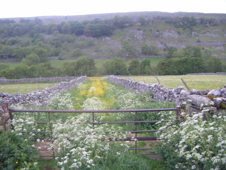 Hostal Pennycroft Guest House