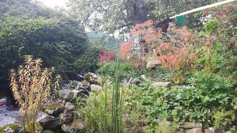 Hostal Pennycroft Guest House