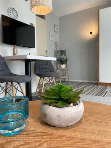 Apartamento Texelheerlijk 10