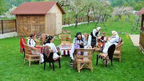 Hostal Pensiunea Rares