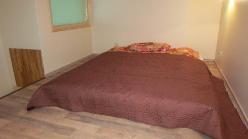 Cat Garden Premium Apartments Riga