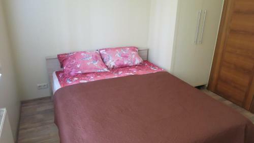 Cat Garden Premium Apartments Riga