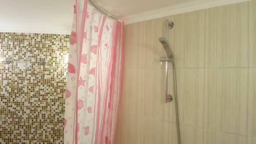 Cat Garden Premium Apartments Riga