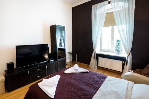 Old Riga View Apartment