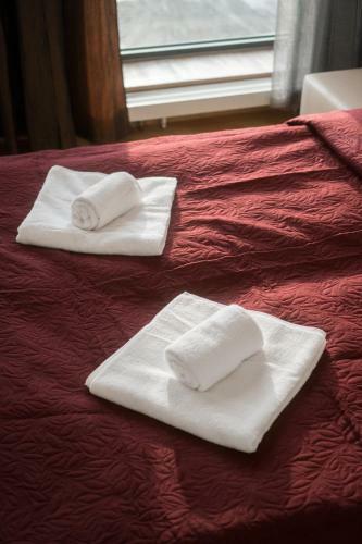 Riga City Center Apartment