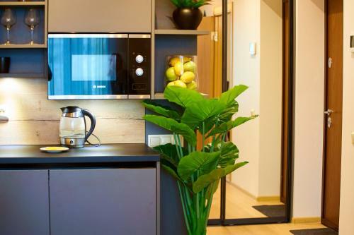 Apartamento Rigabackstage