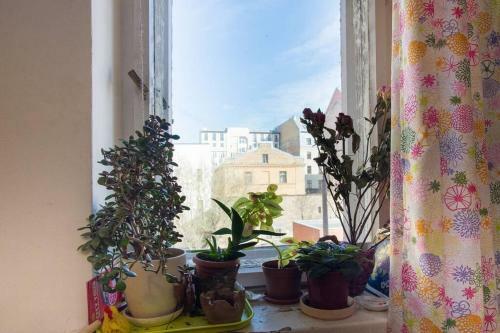 Apartamento Vintage House