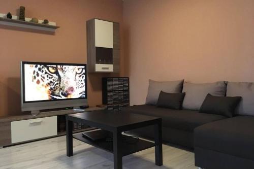Apartamento 6 Can Stay. Self Check In. River 200m.