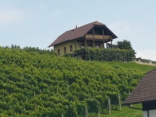 Holiday Home Mirt
