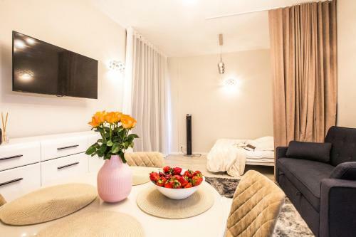 New Modern Studio Apartment In The Old Town Riga