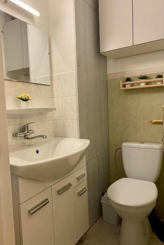 Cosy Central Riga Apartment