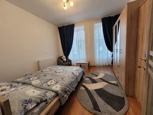 Apartament Cazare