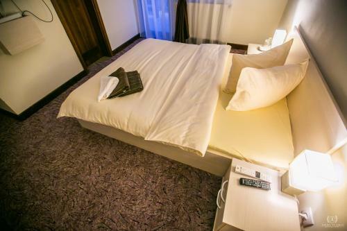 Hostal Pensiunea Conacul Lui Horia