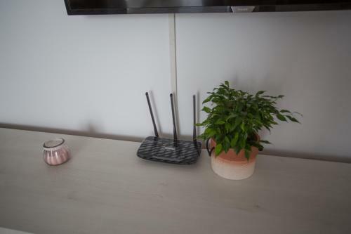 Apartamento Luxury Suites Bistrita