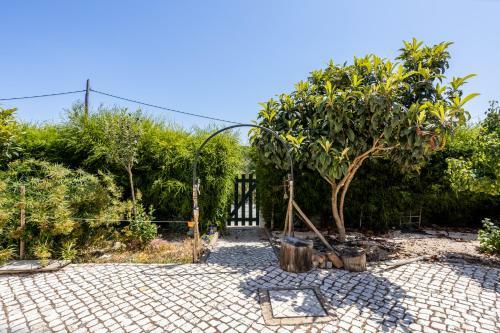 Apartment Asami - Newly Decorated With Great Outdoor Area!