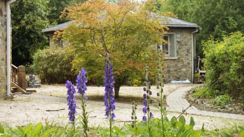 Apartamentos The Old Rectory Donard