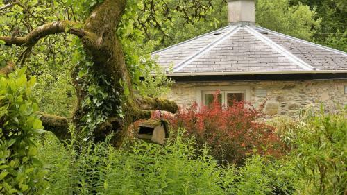 Apartamentos The Old Rectory Donard