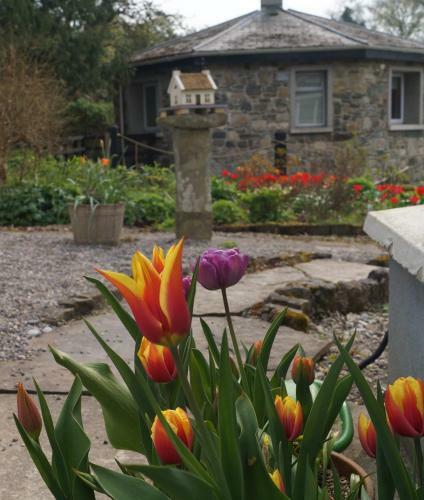Apartamentos The Old Rectory Donard