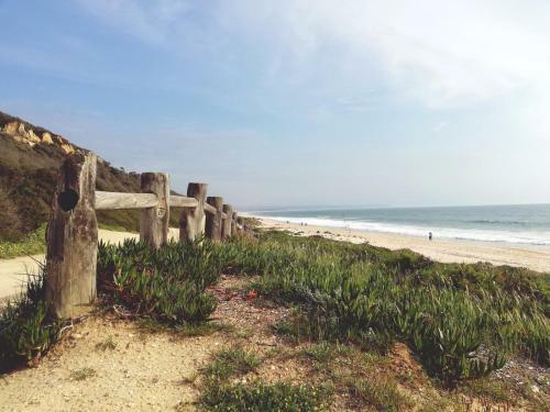 Tripgeo Pinhal Da Aroeira Villa