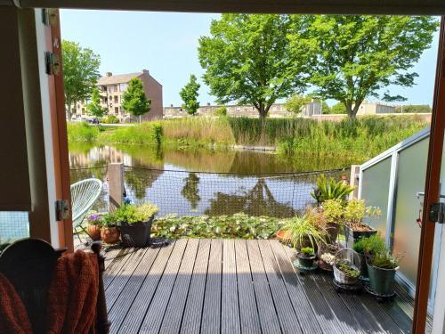 Bed & Breakfast Dutch African Breeze