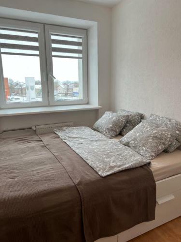 Akmene Center Apartment