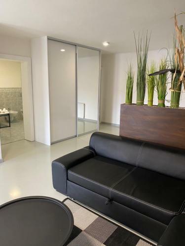 Apartments Renesance 1