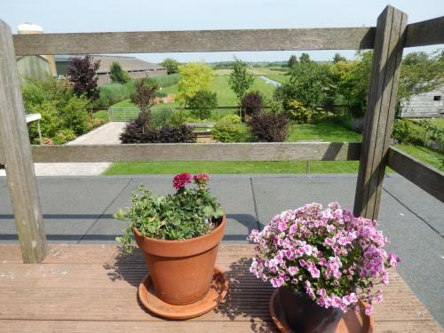 Bed & Breakfast Villa Waterland