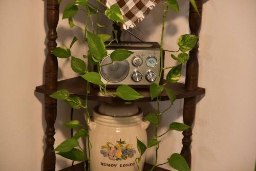 Primula Apartment