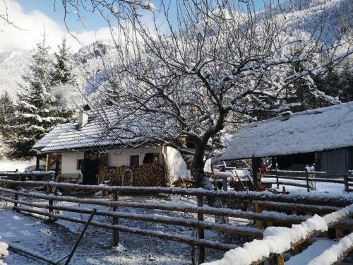 Bohinj House Lizina Hi?ka