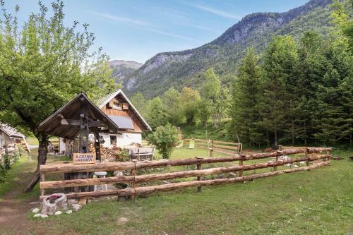 Bohinj House Lizina Hi?ka