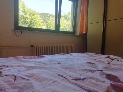 Apartamento Bela Vista