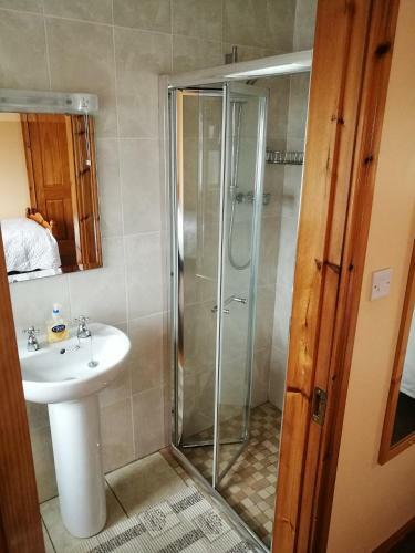 Hostal Danubio Guest Accommodation