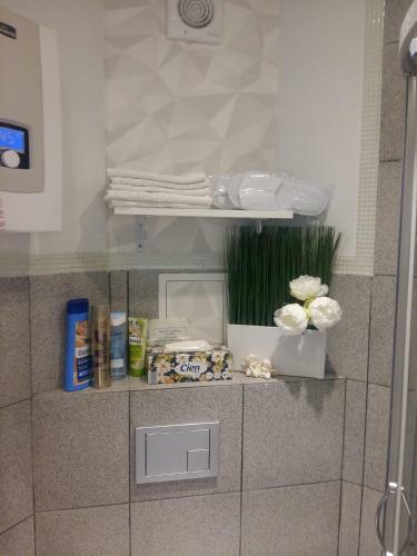 Apartament Stare Miasto Boles?awiec