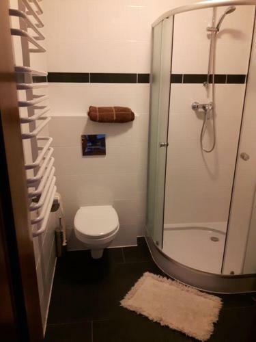Apartamento Willa Suszki