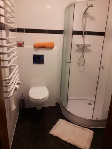 Apartamento Willa Suszki