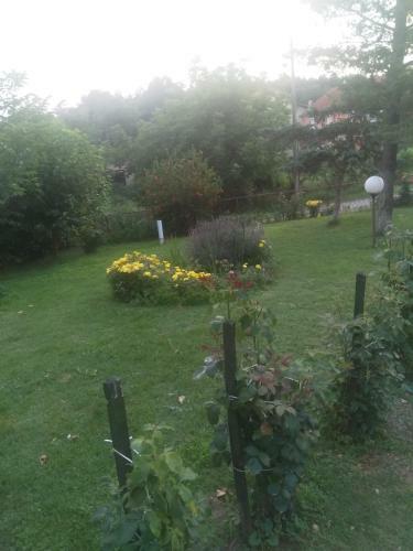 Family Apartman Ana - Star