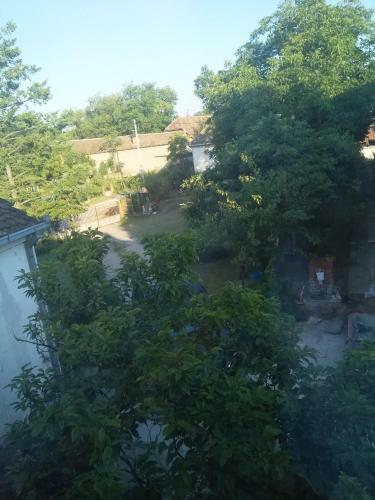 Family Apartman Ana - Star