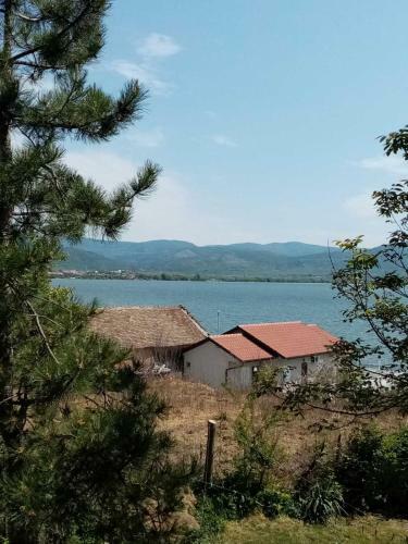 Family Apartman Ana - Star