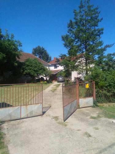 Family Apartman Ana - Star