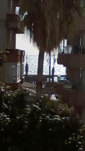Manolya Apartment. Alanya, Center