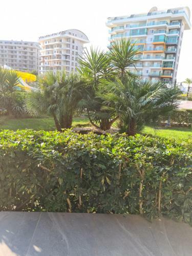 Apartamento Alanya Zee