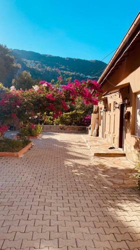 Apartamento Meral Villa